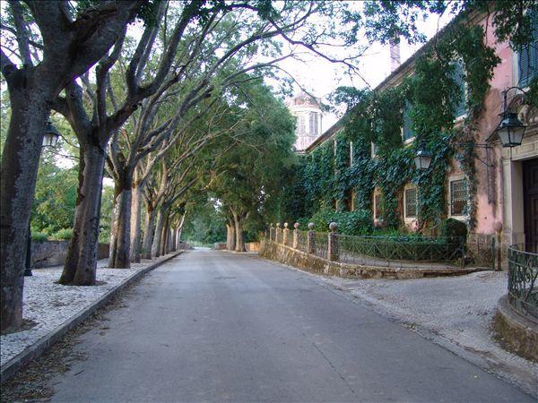 Inn Golegã Екстериор снимка
