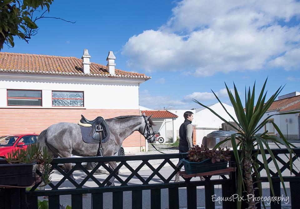 Inn Golegã Екстериор снимка